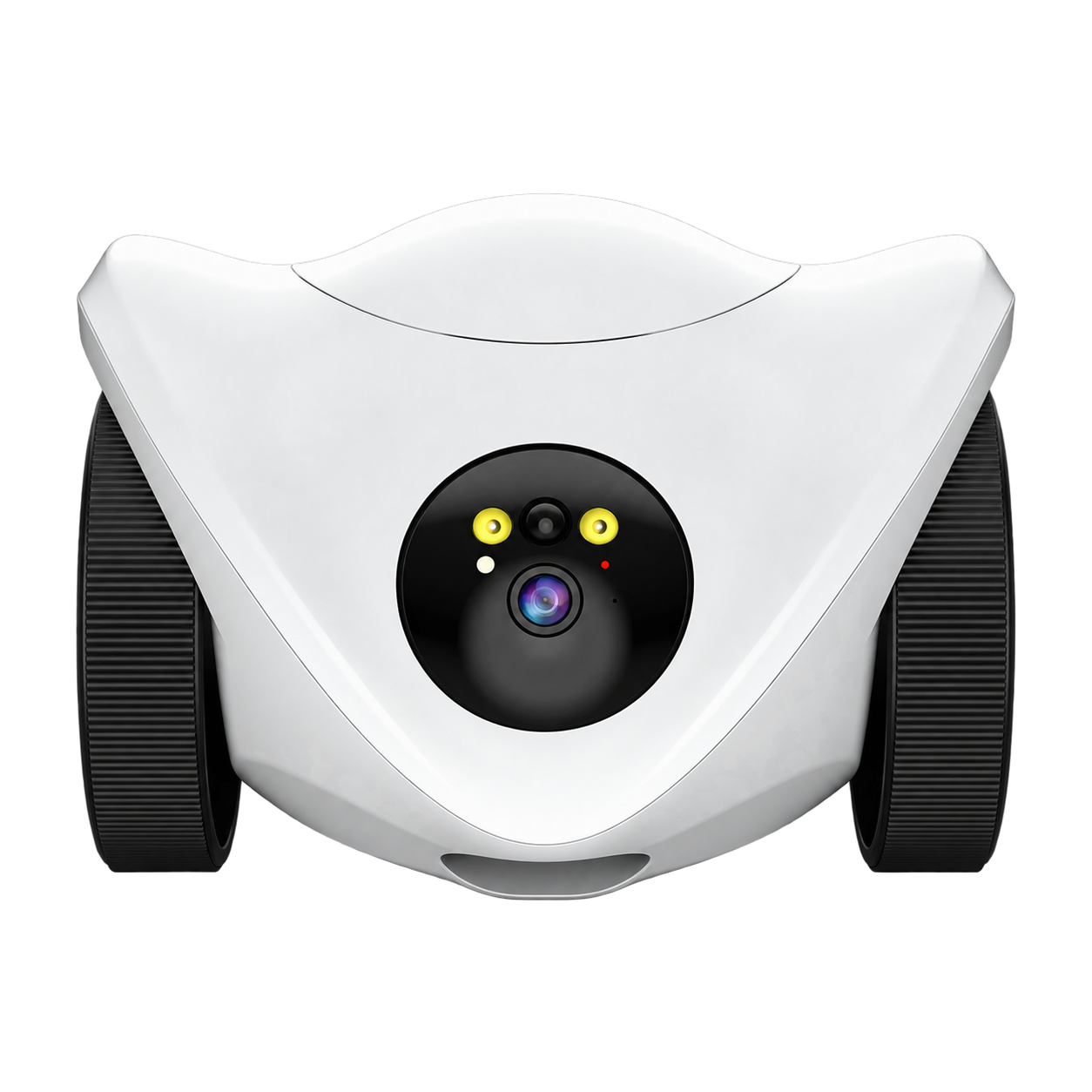 Smart monitoring robot