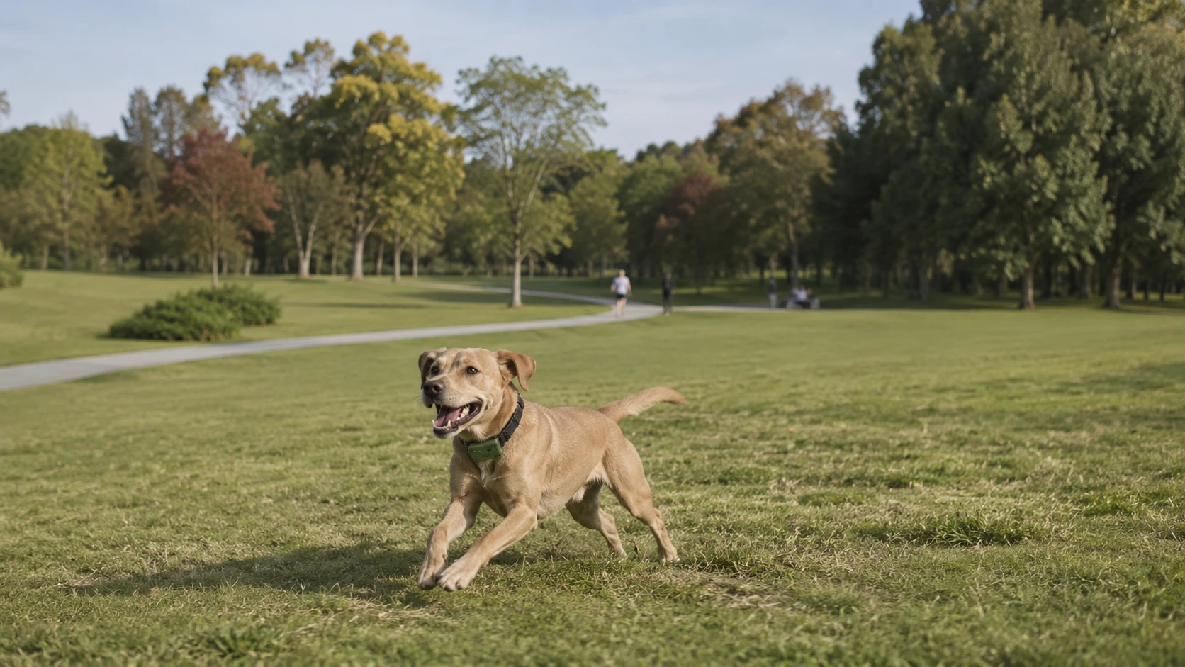 GuardHound Pet Monitoring Smart Collar with GPS Fence · Detail image 1 · GuardHound DOG