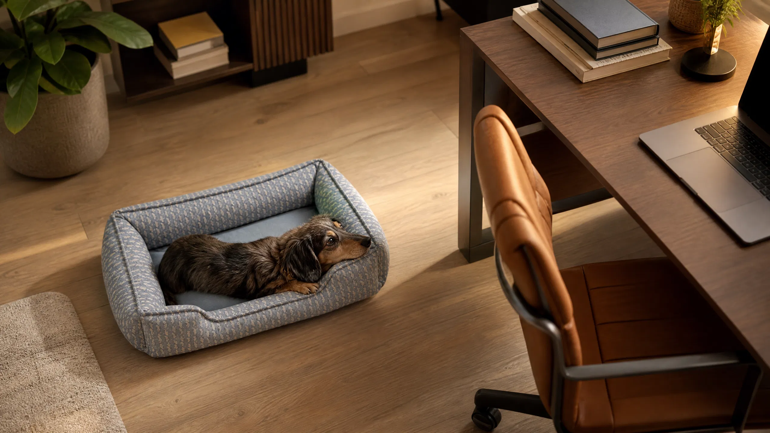 Luxury Memory Foam Dog Bed · Modern Minimalist · GuardHound DOG