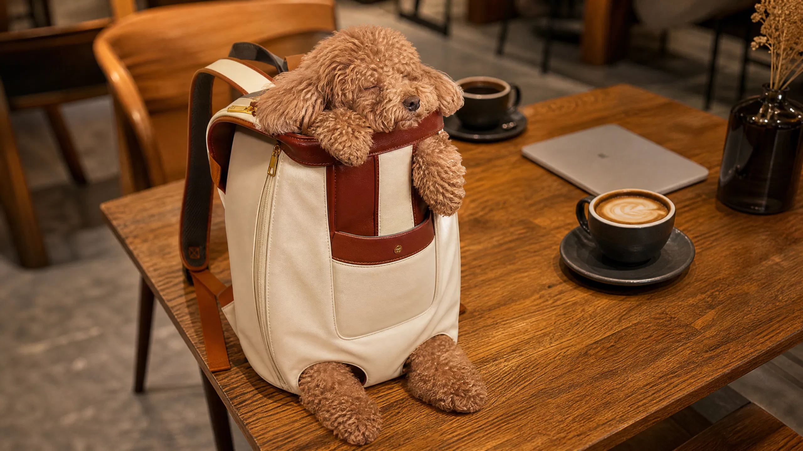 GuardHound Breathable Comfort Dog Carrier Backpack · Ergonomic Back Support · GuardHound DOG