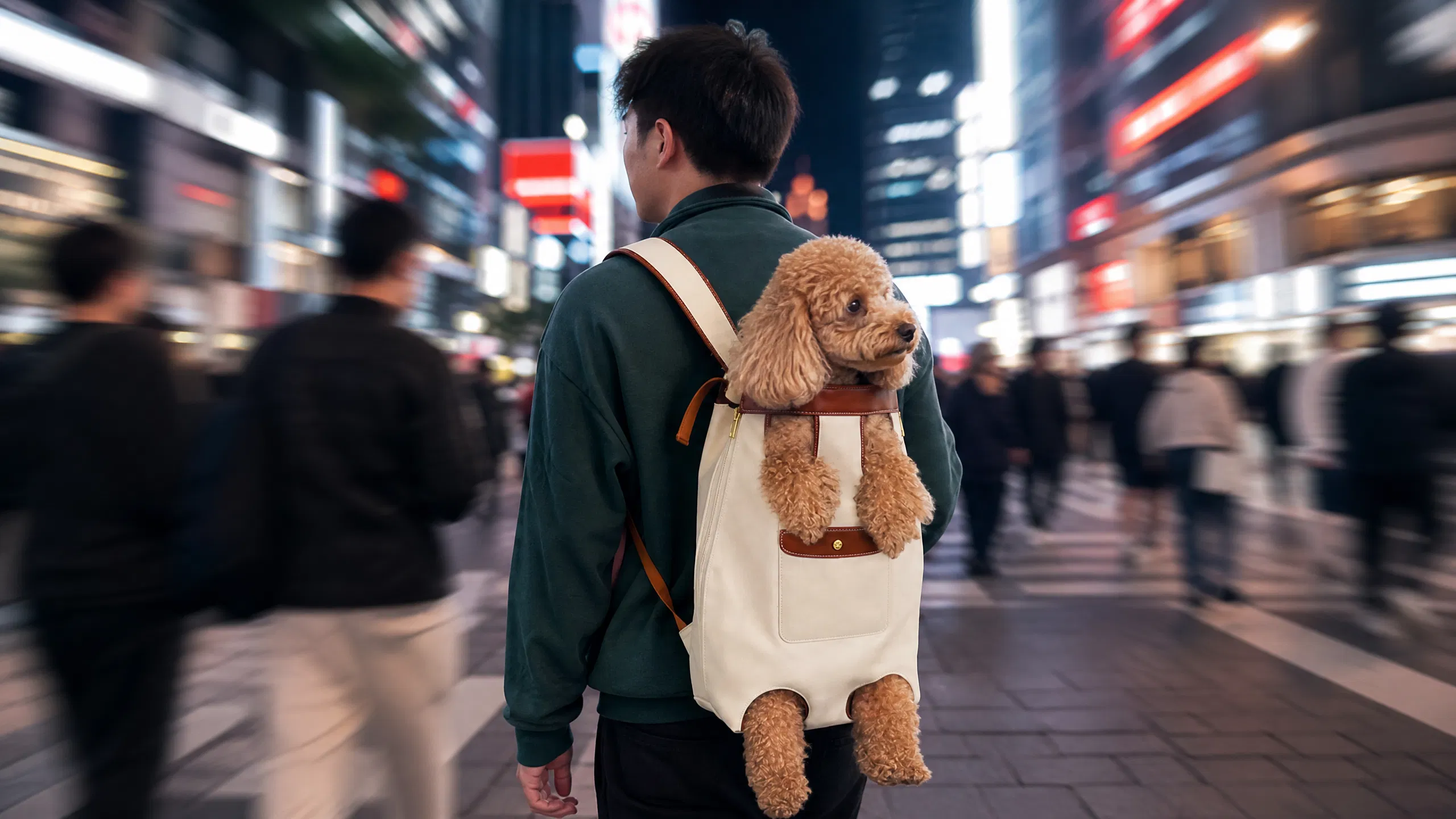 GuardHound Breathable Comfort Dog Carrier Backpack · Reflective Strips for Safety · GuardHound DOG