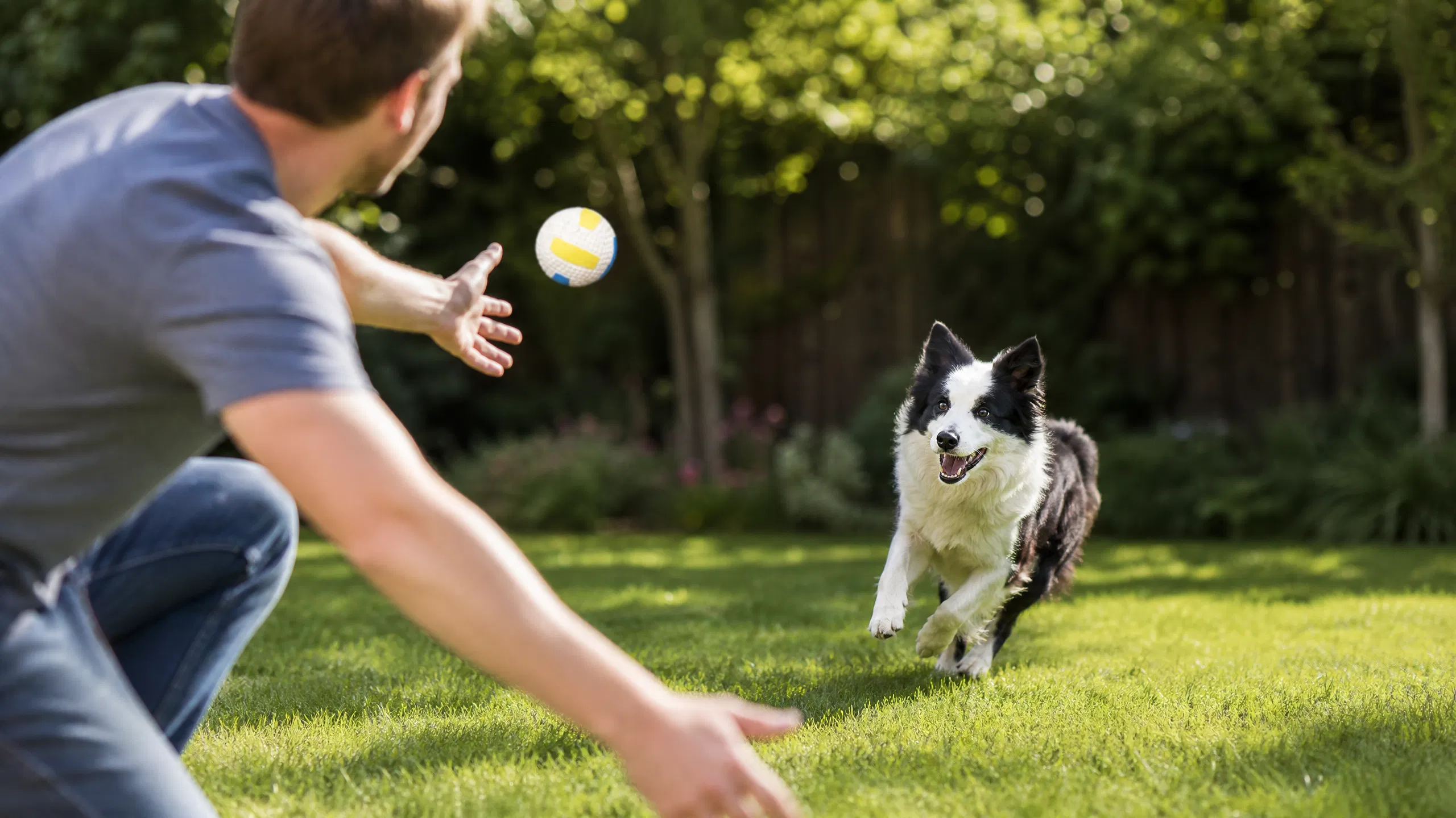 Interactive Chew Toy Ball for Aggressive Chewers · Living Room Afternoon · GuardHound DOG