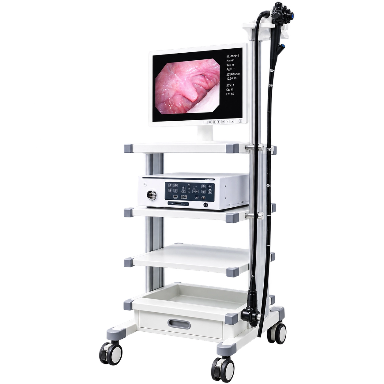 PetScope Pro Veterinary Endoscope System